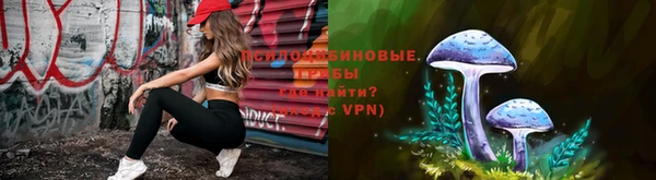 гидропоника Вязьма