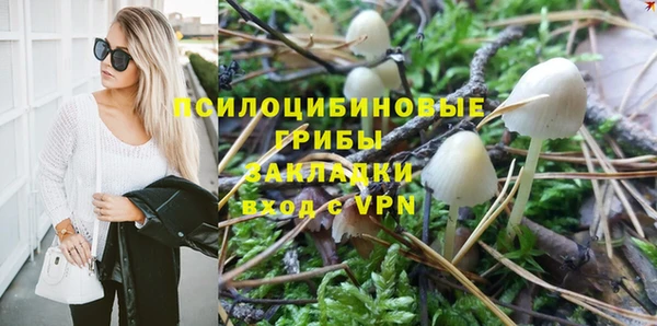 гидропоника Вязьма