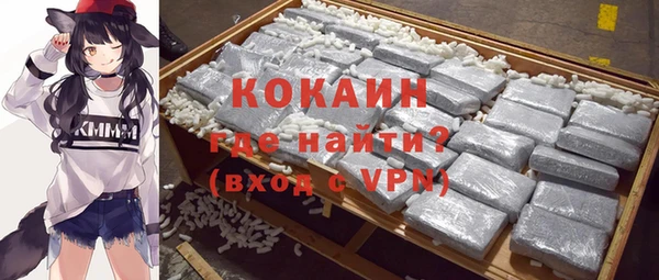 mdpv Вяземский