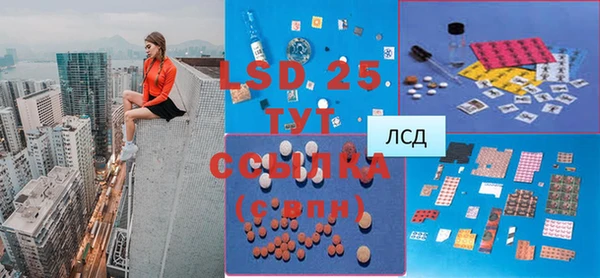 mdpv Вяземский