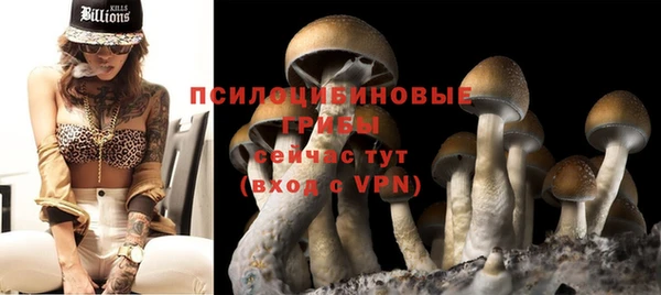 mdpv Вяземский