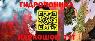 крисы Краснознаменск