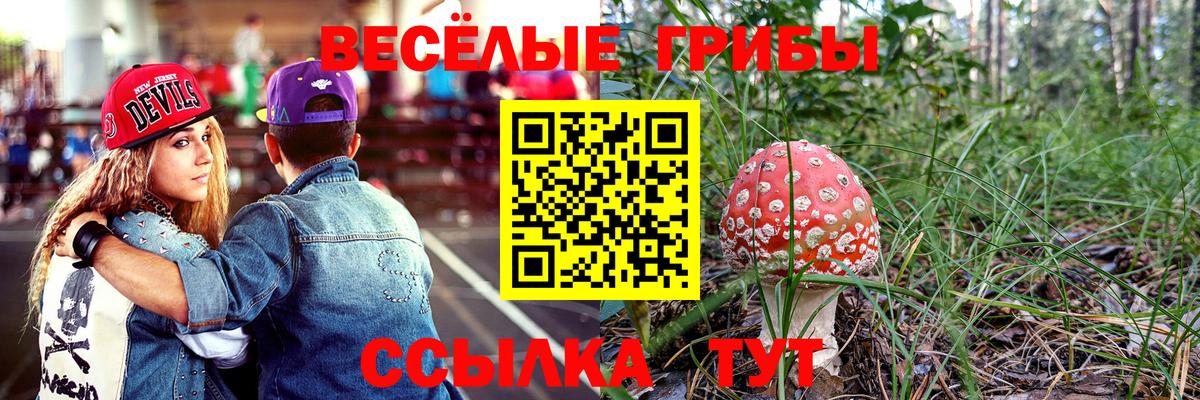 Галлюциногенные грибы Magic Shrooms Красногорск