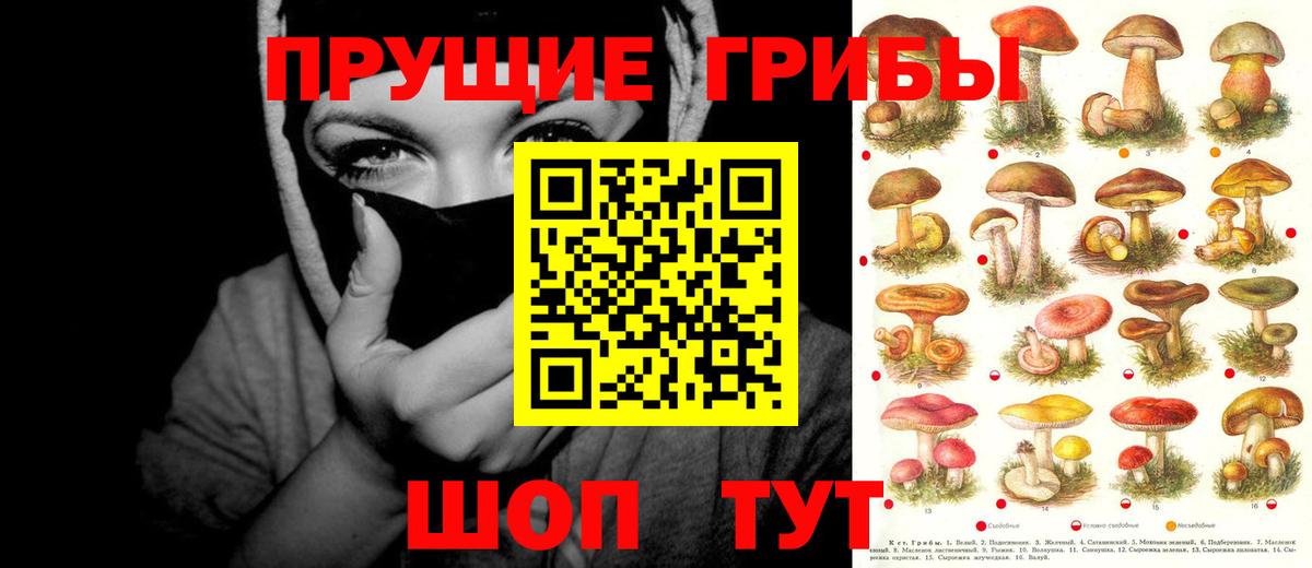 Красногорск  Галлюциногенные грибы Psilocybine cubensis  Вход с VPN  Псилоцибиновые грибы Psilocybine cubensis 